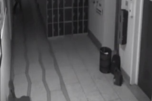 El escalofriante video de un fantasma en una “escuela embrujada”