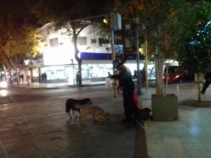 El policía que hace guardia en la Peatonal y ayuda a alimentar a los perros callejeros