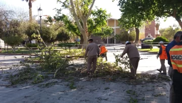 El viento tiró una rama en la Plaza 25 de Mayo y un policía se salvó de milagro