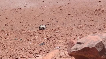 Una mujer murió en un vuelco en Vicuña, a 76 kilómetros del control fronterizo de Agua Negra