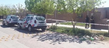 La madre de la nena asesinada por un pitbull dijo que el animal se le escapó a un vecino