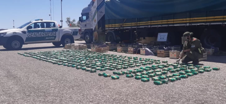 Secuestraron en Vallecito 90 kilos de hojas de coca, valuados en $1,5 millones