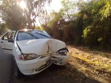 Perdió el control y se estrelló contra un árbol: iba ebrio, pero dijo que quiso esquivar un perro