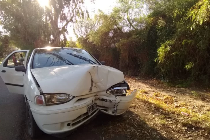 Perdió el control y se estrelló contra un árbol: iba ebrio, pero dijo que quiso esquivar un perro