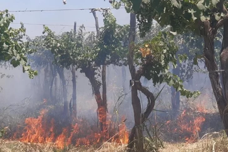 Bomberos debieron combatir un incendio en una finca