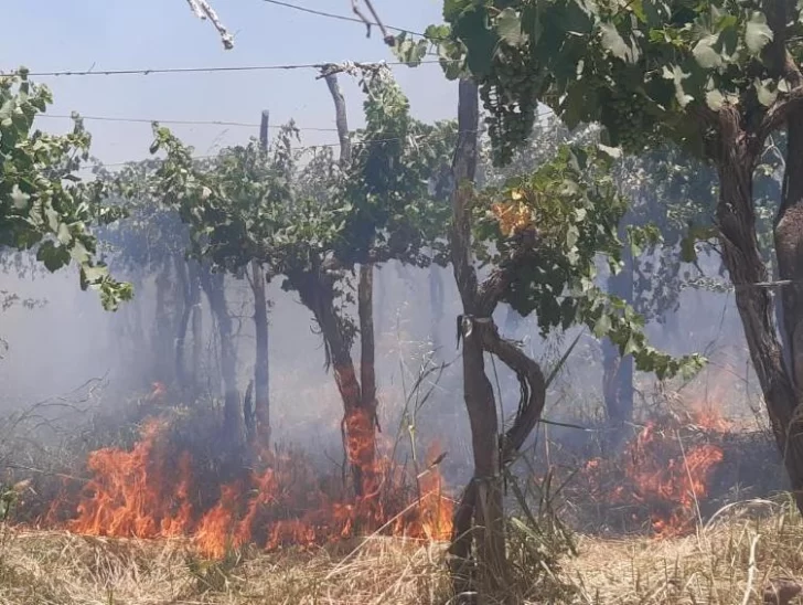 Bomberos debieron combatir un incendio en una finca