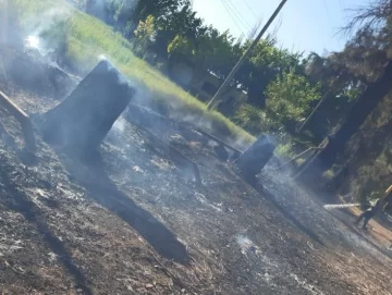 Con ayuda del viento, hubo al menos cuatro focos de incendios forestales