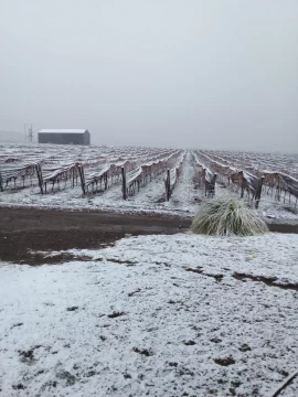 [FOTOS] En medio del intenso frío, Pedernal amaneció cubierto de nieve