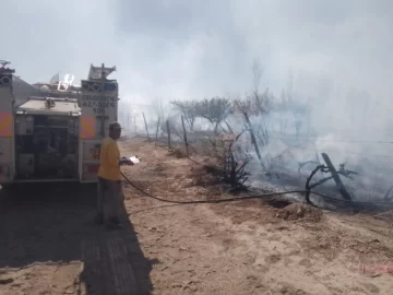 Un incendio destruyó parrales y otros árboles en una finca: creen que fue intencional