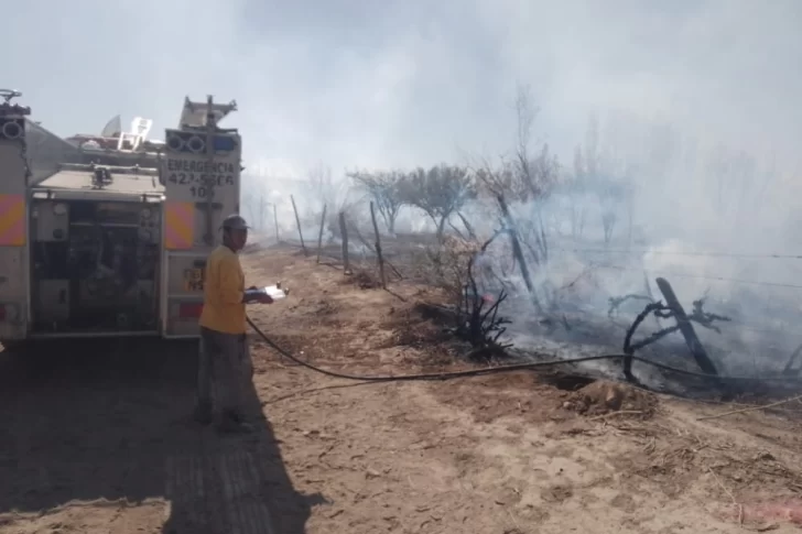 Un incendio destruyó parrales y otros árboles en una finca: creen que fue intencional