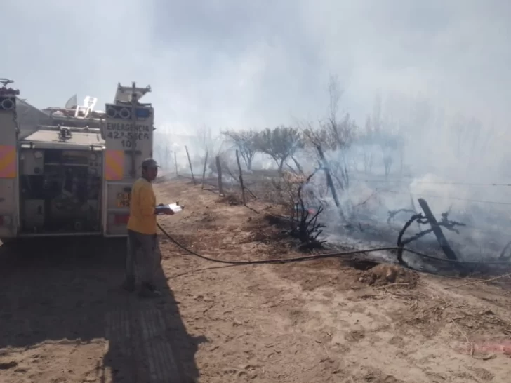 Un incendio destruyó parrales y otros árboles en una finca: creen que fue intencional