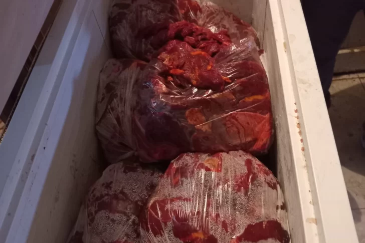 Mandan a Buenos Aires muestras de la carne secuestrada a Gil para saber si es de caballo