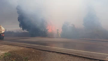 Con el viento como protagonista, hubo más de 13 incendios en la provincia