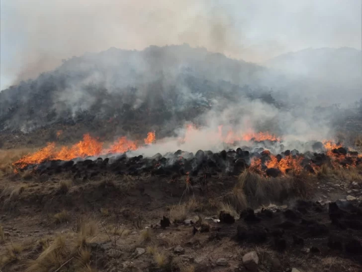 Preocupación en Valle Fértil por nuevos incendios forestales de grandes dimensiones