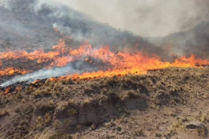 Suman apoyo aéreo para combatir las llamas en Valle Fértil