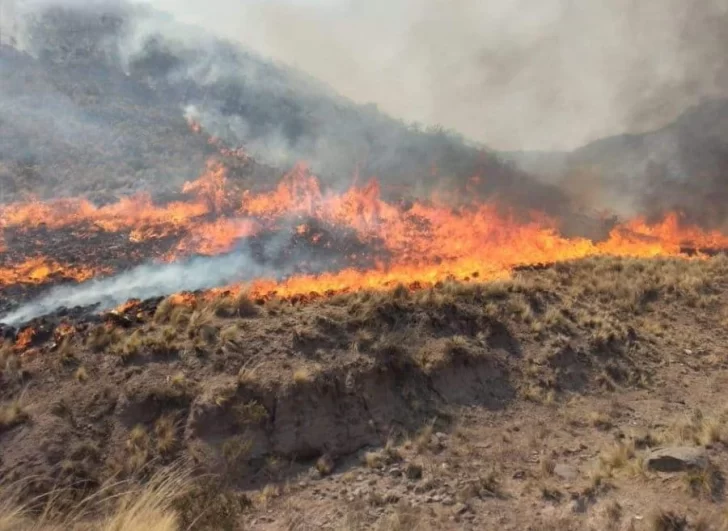 Suman apoyo aéreo para combatir las llamas en Valle Fértil