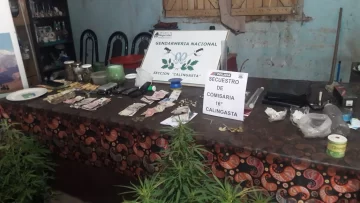 Secuestran un lavarropas robado, 41 plantas de marihuana y $74.000