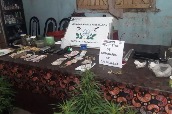 Secuestran un lavarropas robado, 41 plantas de marihuana y $74.000