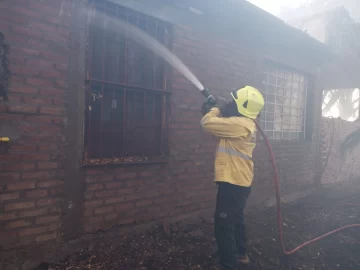 Por el viento, Bomberos tuvo 61 intervenciones durante el fin de semana