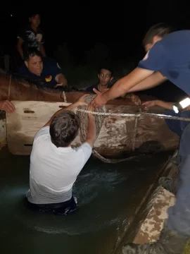 Bomberos trabajaron durante 2 horas para rescatar a una yegua