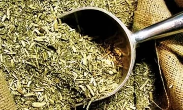 Argentina exportará yerba mate a la India