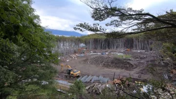 Bosques nativos: el Presupuesto 2022 destinaría apenas del 3% de lo dispuesto por ley para su protección