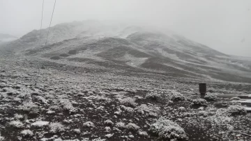 Otra vez, nevó en la Estancia Don Carmelo