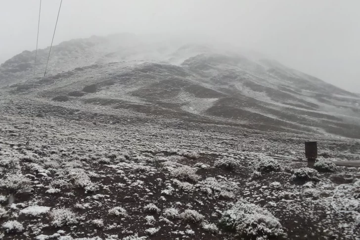 Otra vez, nevó en la Estancia Don Carmelo