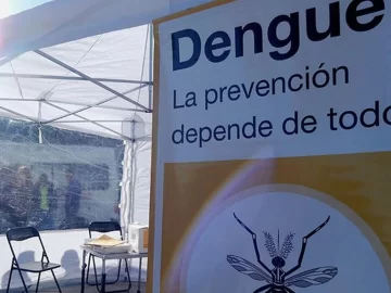 Fuerte aumento de casos de dengue en Argentina