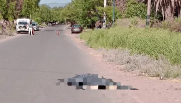 Lo hallan en la calle sobre un charco de sangre y la cabeza quebrada, ¿lo mataron?