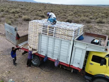 Mermas por el clima y el efecto de la inflación en frutas y uvas