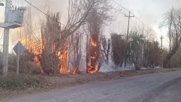 Viento Zonda: Bomberos tuvo 36 intervenciones y reforzó personal por el alerta rojo