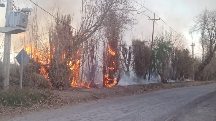 Viento Zonda: Bomberos tuvo 36 intervenciones y reforzó personal por el alerta rojo