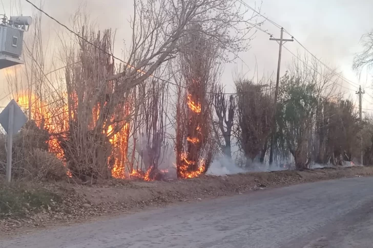 Viento Zonda: Bomberos tuvo 36 intervenciones y reforzó personal por el alerta rojo