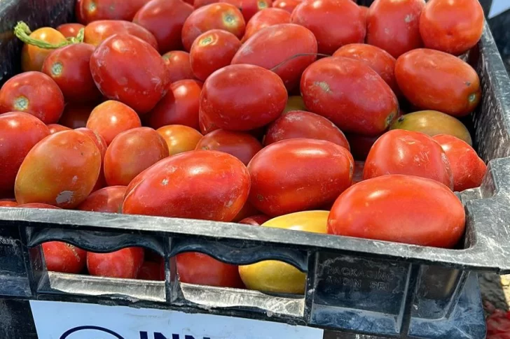 “Tarde de Campo” de tomate para la industria sanjuanina