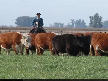 Estadísticas de embarques de carne vacuna e intercambios