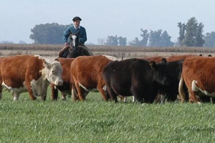 Estadísticas de embarques de carne vacuna e intercambios