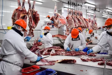 Las exportaciones de carne vacuna crecieron 11,9% interanual en noviembre