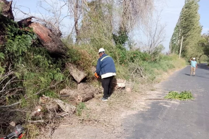 San Juan se encuentra bajo alerta amarilla por vientos y tormentas