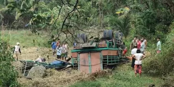 Un camionero perdió el control, cayó por un barranco y desató una sangrienta tragedia