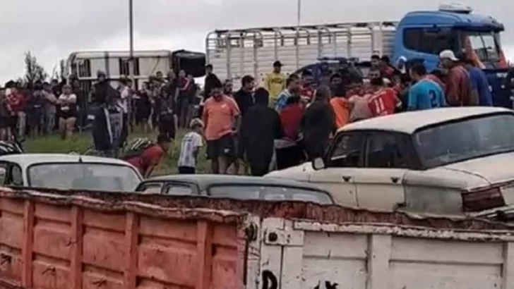 Volcó un camión con vacas en Río Cuarto y los vecinos faenaron a los animales