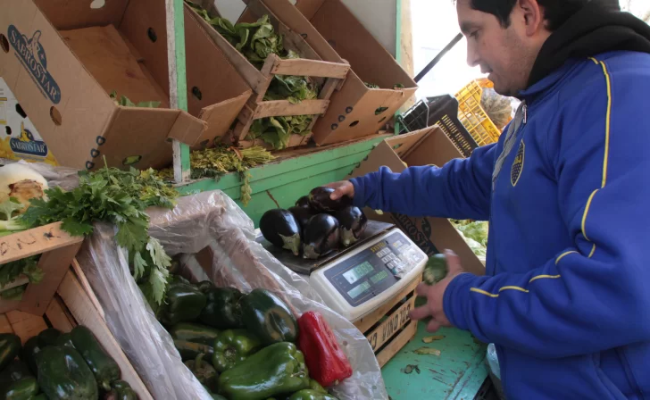 Para regar, los chacareros producen menos y semilleros eligen paneles