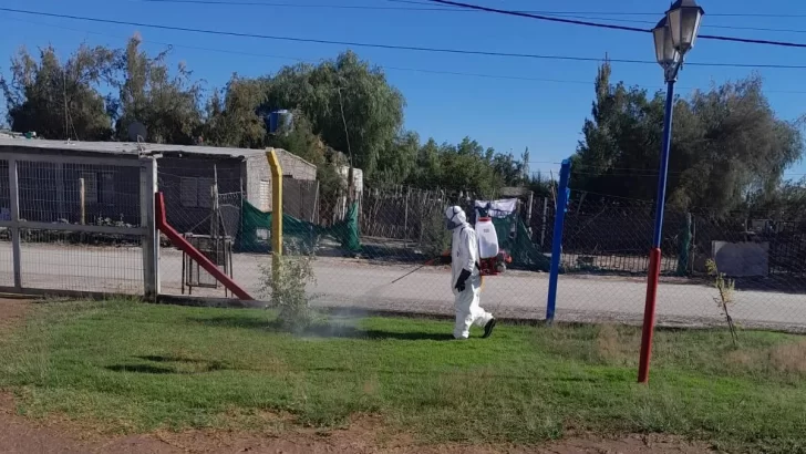 El Municipio 9 de Julio fumiga en prevención del dengue