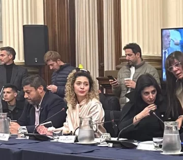 La sanjuanina que es diputada por LLA de Mendoza fue al Congreso con un patito en la cabeza