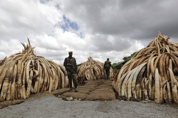 La ONU destaca el riesgo de nuevas enfermedades por el comercio ilegal de fauna salvaje