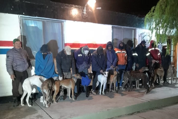 Operativo policial en Ruta 141: detienen 14 hombres que iban con 16 perros galgo en 2 camionetas