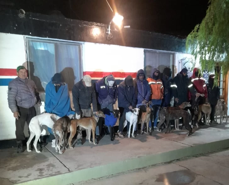 Operativo policial en Ruta 141: detienen 14 hombres que iban con 16 perros galgo en 2 camionetas