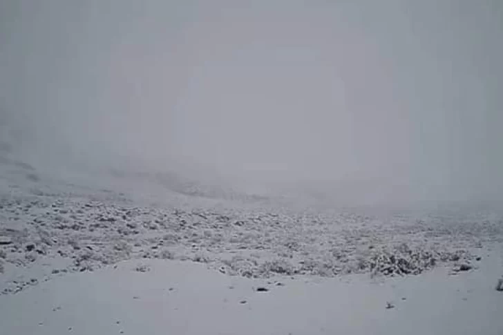 Alerta por nevadas en la cordillera sanjuanina