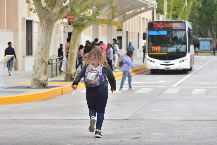 Todas las credenciales escolares para viajar en colectivo serán válidas hasta fin de año