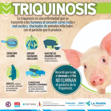 Brote-Triquinosis-caso-728x728